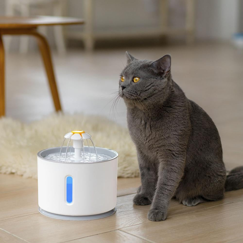 Automatic Pet Cat Water Fountain with LED Lighting 5 Pack Filters 2.4L USB Dogs Cats Mute Drinker Feeder Bowl Drinking Dispenser